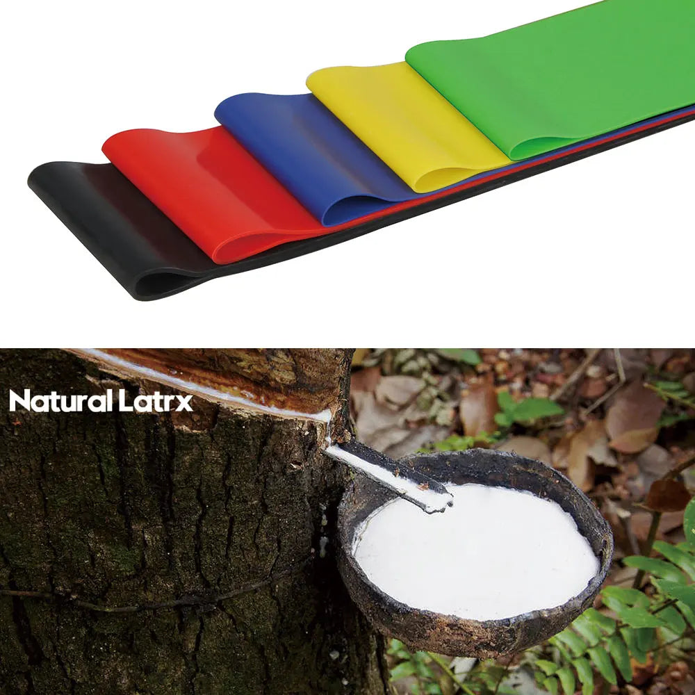 FDBOY Resistance Bands for Working Out Exercise Bands Physical Therapy  Stretching Yoga Strap for Upper & Lower Body Workouts